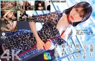 CRNX-254 [4K] 선배가 애완동물을 돌보라고 했는데...하나고로모 츠바키